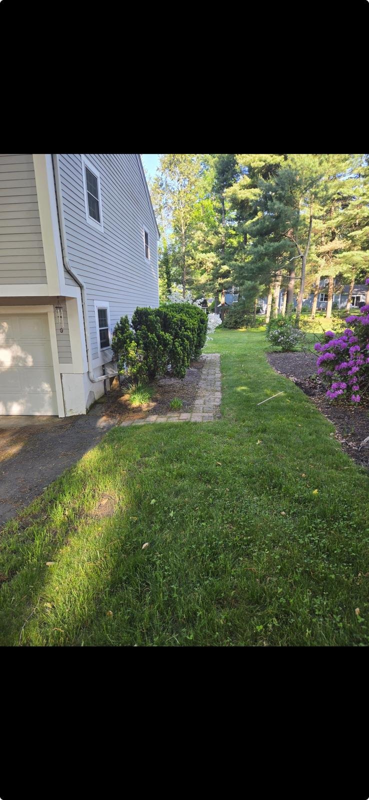 Landscaped yard