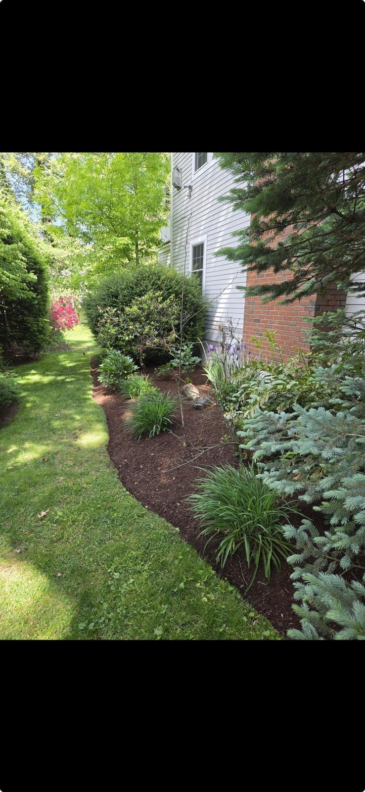 Well maintained garden bed
