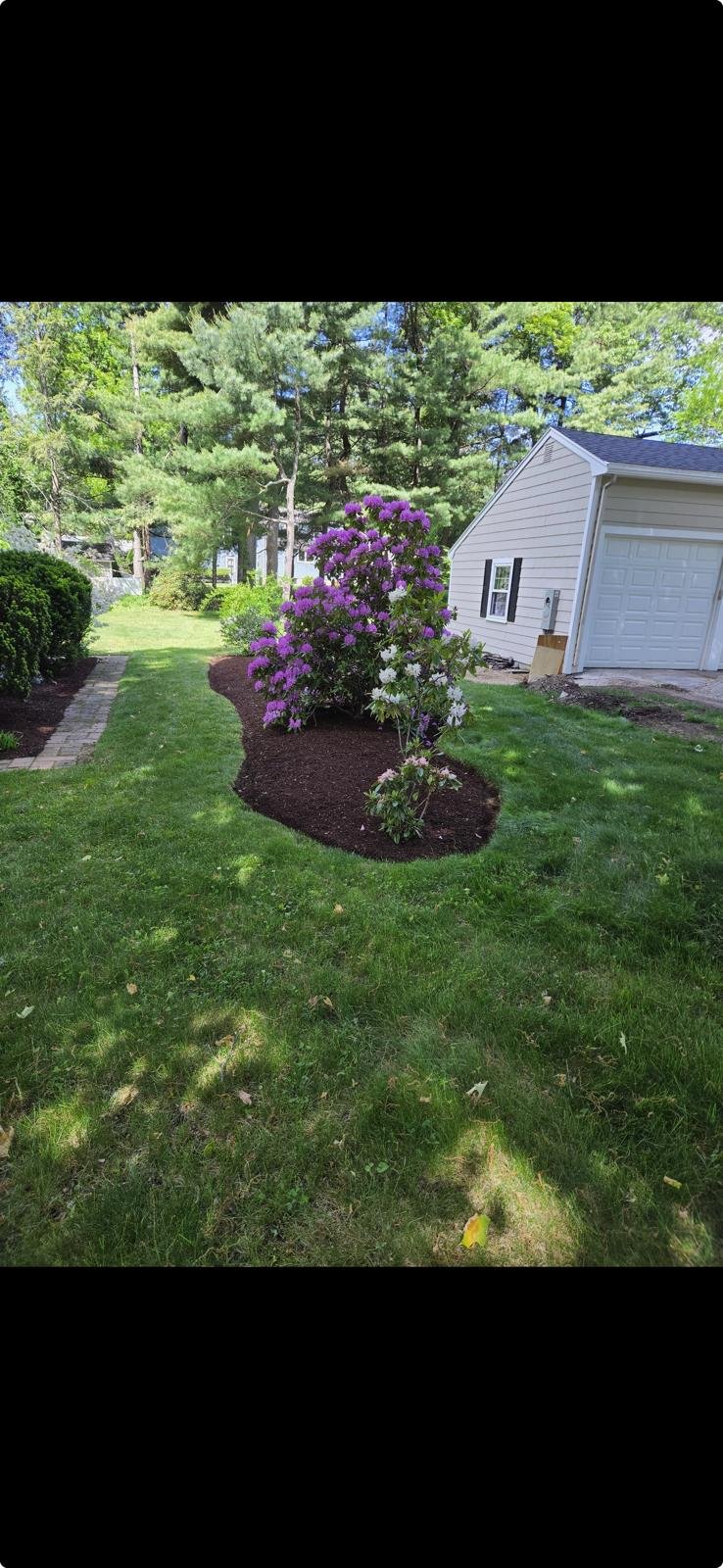 Shaped shrubs and plantings