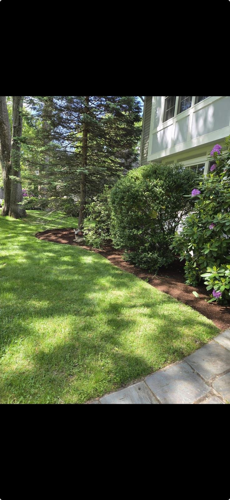 Tree and lawn maintenance